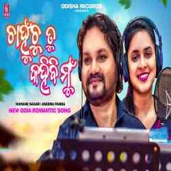 Chahunchu Tu Kahibi Mun